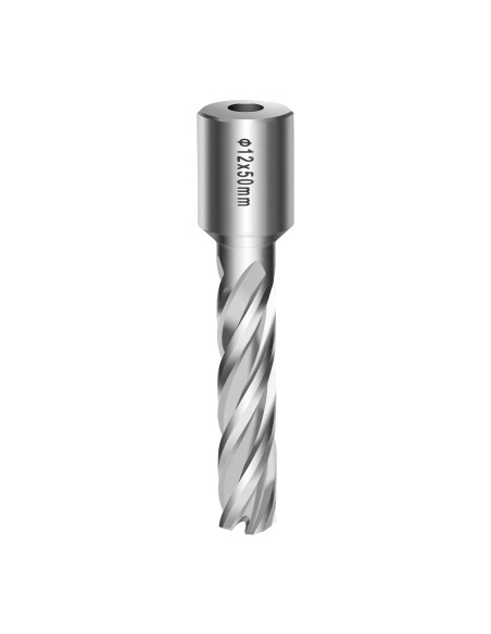 Trefino pjaustytuvas M2 plieninis grąžtas 12 x 50 mm MSW-CDB-50/12 Trefino pjaustytuvas M2 plieninis grąžtas 12 x 50 mm MSW-CDB-50/12