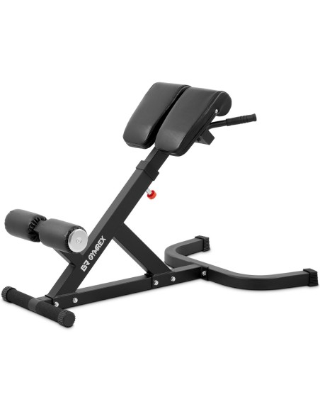 Romėniškas treniruočių suoliukas, skirtas pilvo, nugaros ir sėdmenų pratimams iki 100 kg