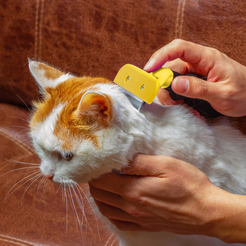 
Šukos-šepetys žoliapjovei, skirtai šunų ir kačių plaukams šalinti, 10 cm
