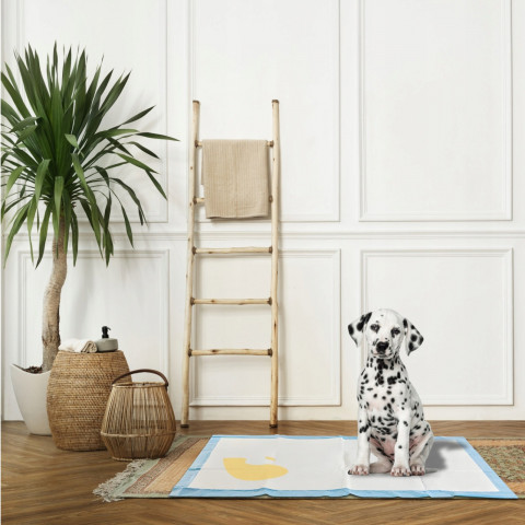 
Higieniniai kilimėliai šunims ir katėms švaros ugdymui 60 x 40 - 50 vnt.
