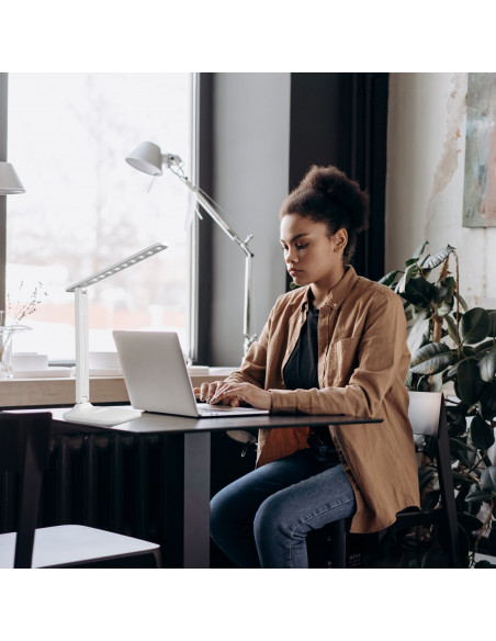 
Reguliuojama mokyklinė stalo lempa su telefono laikikliu - balta ir sidabrinė
