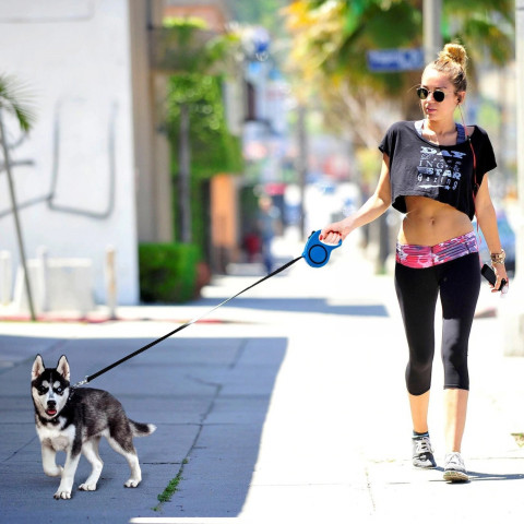 
Automatinis ištraukiamas juostinis pavadėlis su spyna šunims iki 15 kg, 5 m - mėlynas
