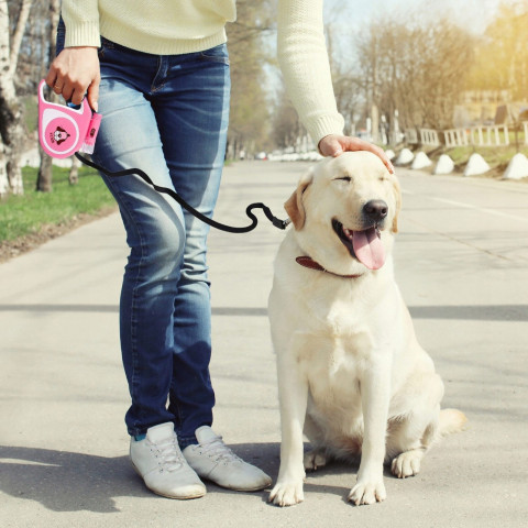 
Automatinis ištraukiamas pavadėlis šunims ir katėms su spyna ir LED žibintuvėliu iki 15 kg, 5 m - rožinis
