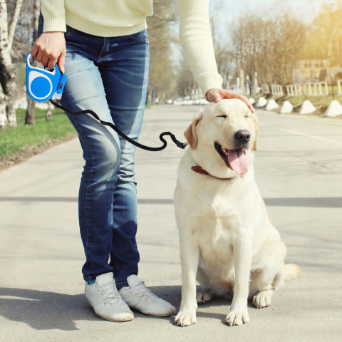 
Automatinis ištraukiamas pavadėlis šunims ir katėms su spyna ir LED žibintuvėliu iki 15 kg, 5 m - mėlynas
