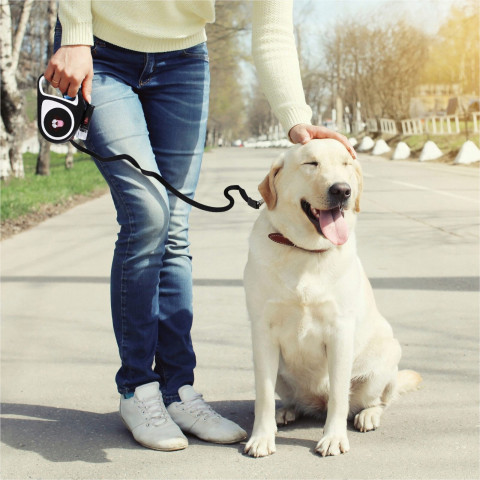 
Automatinis ištraukiamas pavadėlis šunims ir katėms su spyna ir LED žibintuvėliu iki 15 kg, 5 m - juodas
