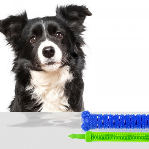 
Dantų kramtymo dantų šepetėlio žaislas šunims
