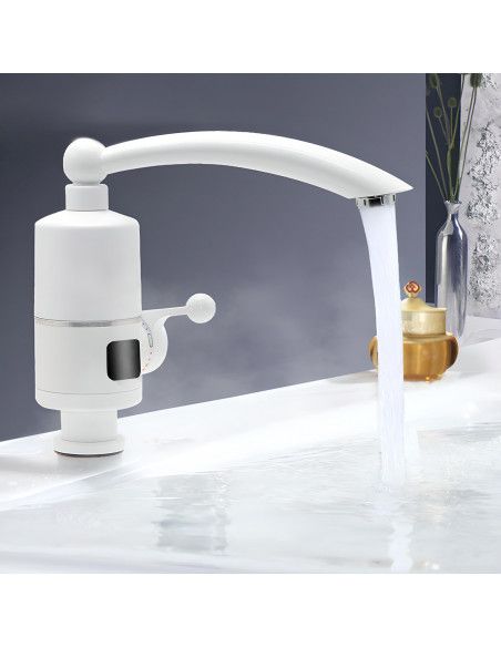 
3000 W LED momentinis elektrinis vandens šildytuvas
