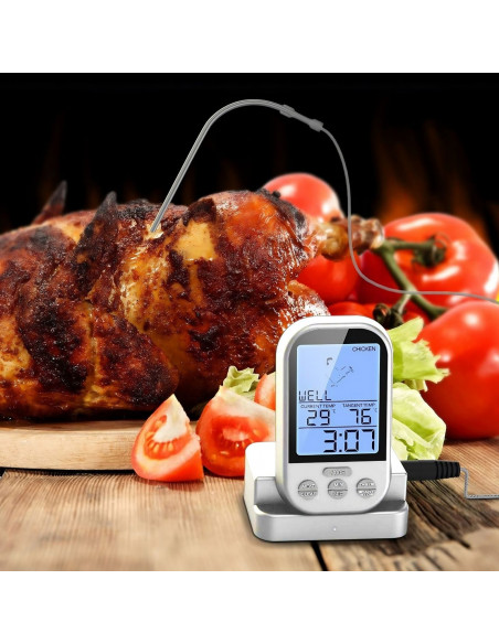 
Belaidis termometras su zondu griliui ir rūkyklai -20 - 250 C
