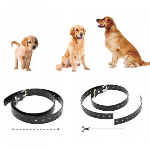 
Elektroninis šunų dresūros antkaklis su nuotolinio valdymo pultu, 800 m
