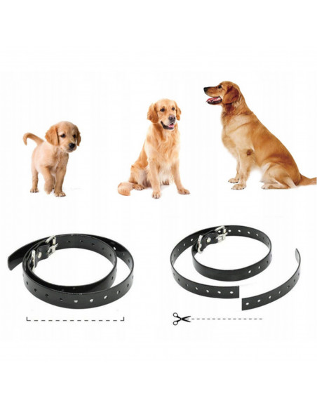 
Elektroninis šunų dresūros antkaklis su nuotolinio valdymo pultu, 800 m
