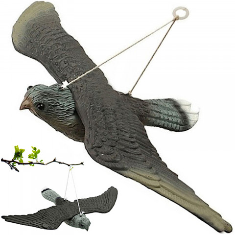 
Balandžių paukščių baidyklė kabo balkone, vanagas sakalas skrydžio metu
