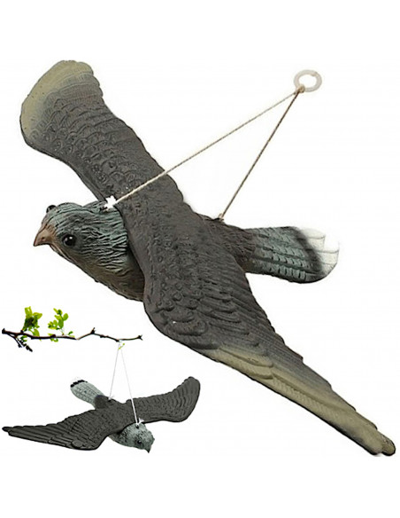 
Balandžių paukščių baidyklė kabo balkone, vanagas sakalas skrydžio metu
