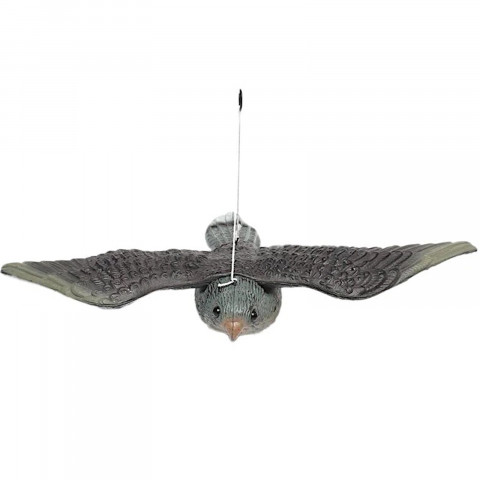 
Balandžių paukščių baidyklė kabo balkone, vanagas sakalas skrydžio metu
