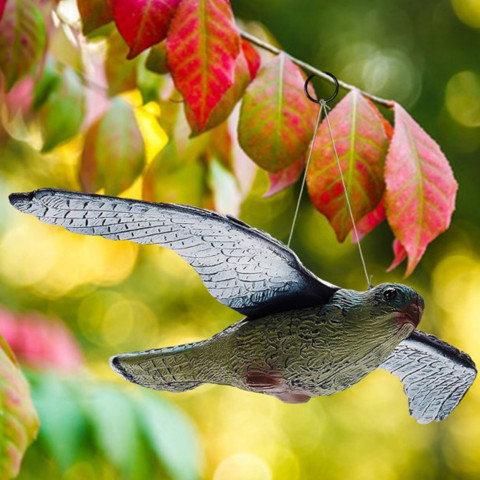 
Balandžių paukščių baidyklė kabo balkone, vanagas sakalas skrydžio metu

