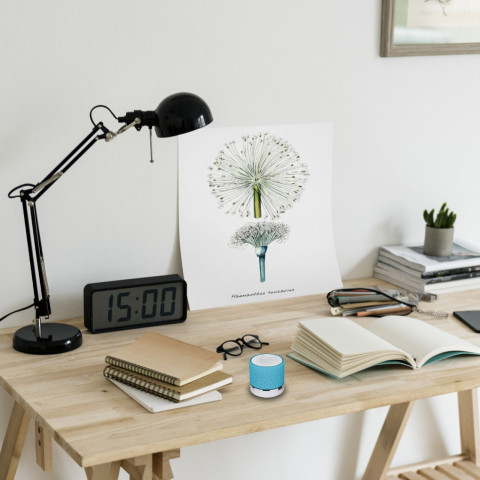 
Mini belaidis „Bluetooth“ garsiakalbis su LED foniniu apšvietimu – mėlynas
