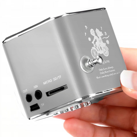 
Belaidis radijo garsiakalbis su „Bluetooth“ ir FM, AUX, LCD
