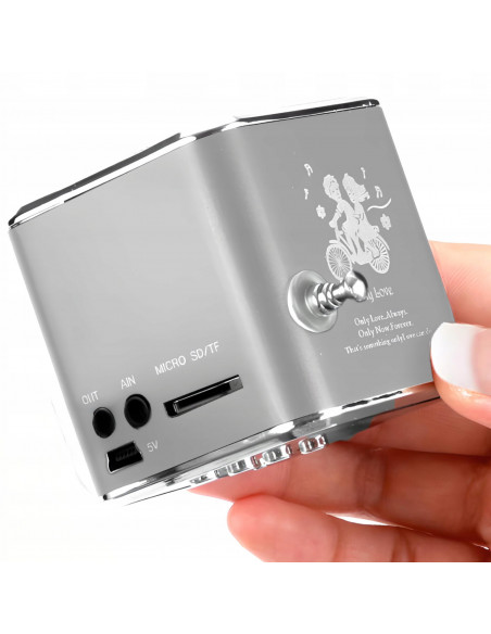 
Belaidis radijo garsiakalbis su „Bluetooth“ ir FM, AUX, LCD
