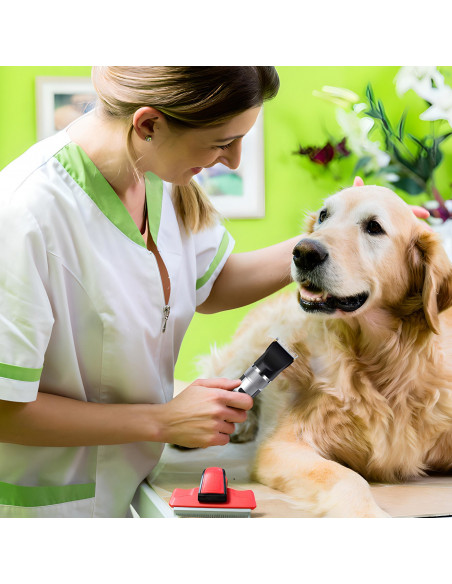 
Belaidė šunų ir gyvūnų kirpimo mašinėlė su LCD ekranu, 9 W, 4 priedais

