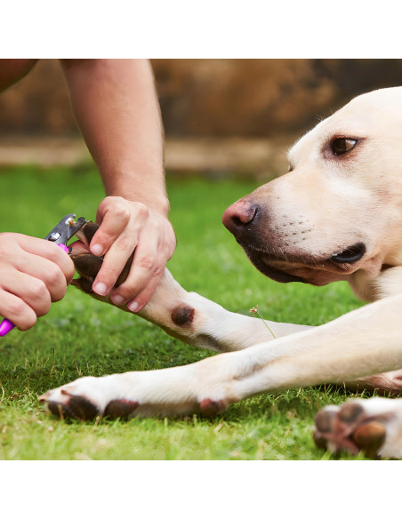 
Belaidė šunų ir gyvūnų kirpimo mašinėlė su LCD ekranu, 9 W, 4 priedais
