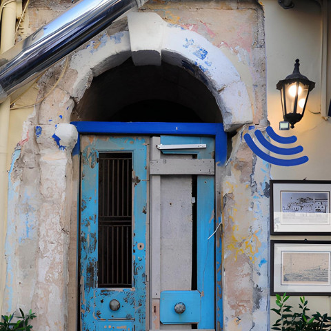 
Prieblandos judesio jutiklis halogeninei lempai 12 m
