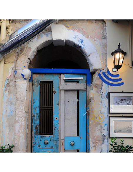 
Prieblandos judesio jutiklis halogeninei lempai 12 m
