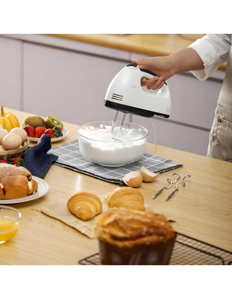 
Rankinis virtuvės robotas maišytuvas, 7 greičiai, 4 priedai, 260 W
