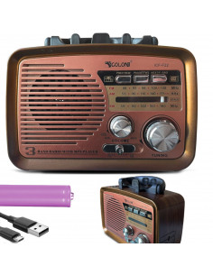 
Nešiojamas virtuvinis FM radijas su baterijomis, Bluetooth, USB, SD
