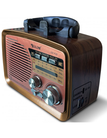 
Nešiojamas virtuvinis FM radijas su baterijomis, Bluetooth, USB, SD
