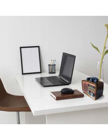 
Nešiojamas virtuvinis FM radijas su baterijomis, Bluetooth, USB, SD
