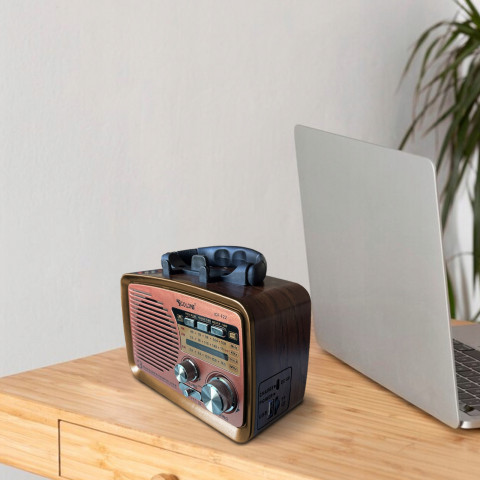 
Nešiojamas virtuvinis FM radijas su baterijomis, Bluetooth, USB, SD
