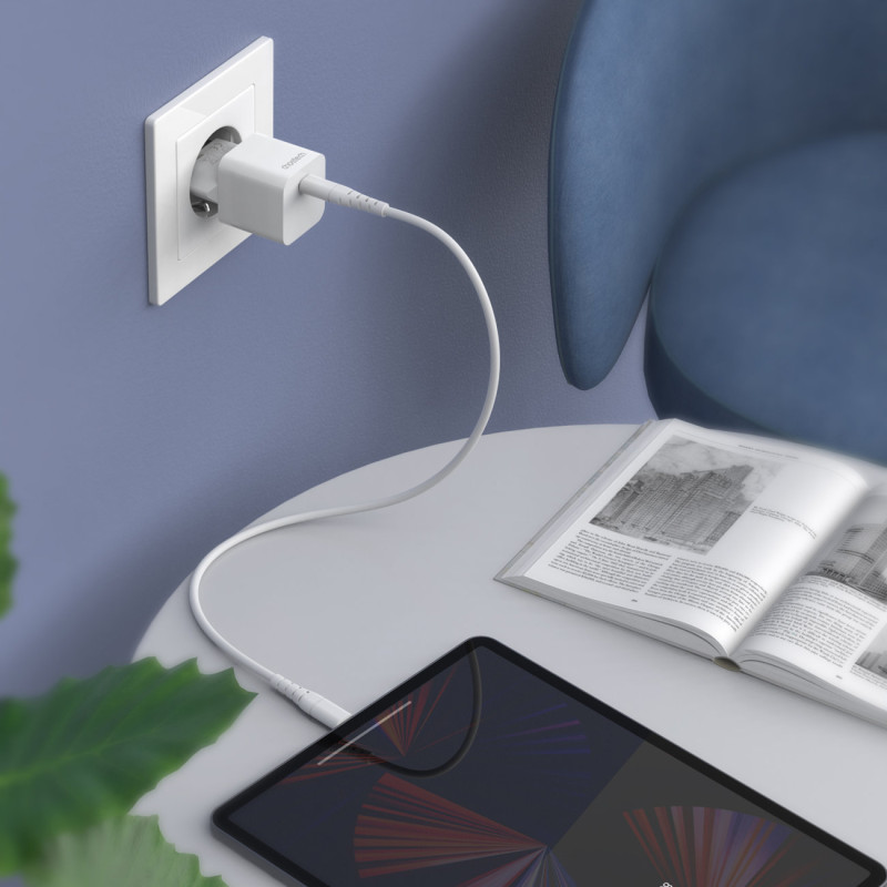 Sieninis įkroviklis 20W USB Type C baltas
