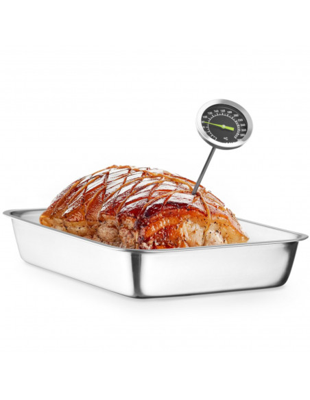 
Analoginis maitinimo termometras su smailiu zondu 0-300 C
