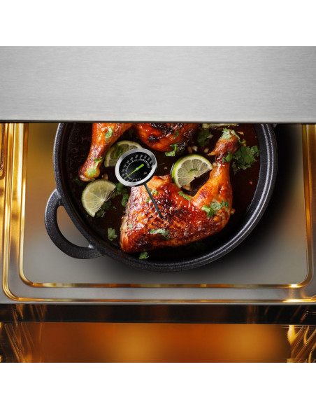 
Analoginis maitinimo termometras su smailiu zondu 0-300 C
