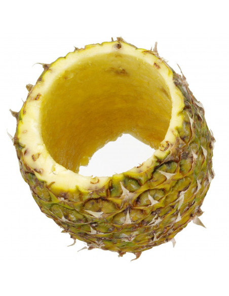 
Rankinis ananasų pjaustyklė 240x100 mm
