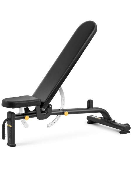 Treniruočių suoliukas pratimams, reguliuojamas, sulankstomas, 9 lygiai iki 135 kg