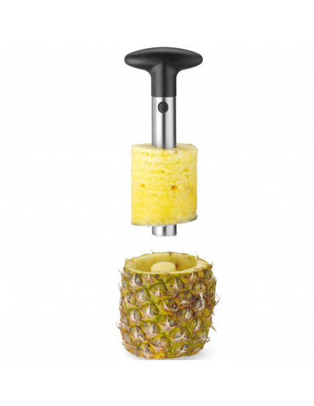 
Rankinis ananasų pjaustyklė 240x100 mm
