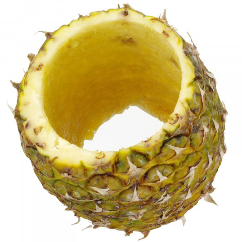 
Rankinis ananasų pjaustyklė 240x100 mm
