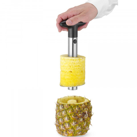 
Rankinis ananasų pjaustyklė 240x100 mm
