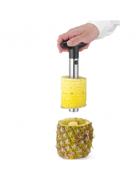 
Rankinis ananasų pjaustyklė 240x100 mm
