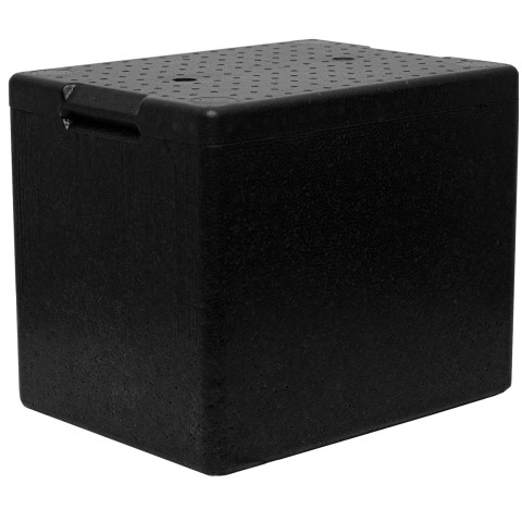 
Termodėžė su dangčiu maistui ir vaistams 395x295x320mm 20L
