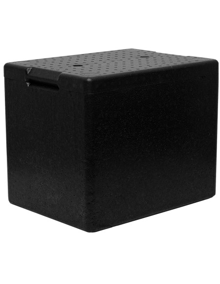 
Termodėžė su dangčiu maistui ir vaistams 395x295x320mm 20L
