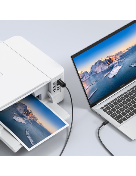 
Spausdintuvo ir skenerio laidas USB-B - USB-C 1m - juodas
