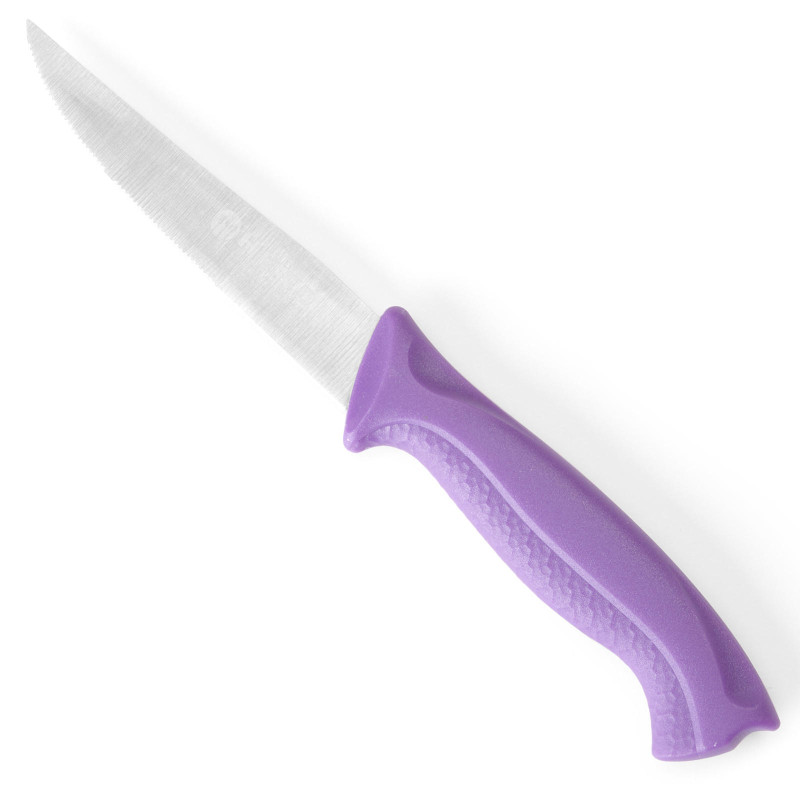 Virtuvinis peilis su dantytais ašmenimis HACCP alergiškiems žmonėms 205mm - violetinė - HENDI 842171 Virtuvinis peilis su dantytais ašmenimis HACCP alergiškiems žmonėms 205mm - violetinė - HENDI 842171
