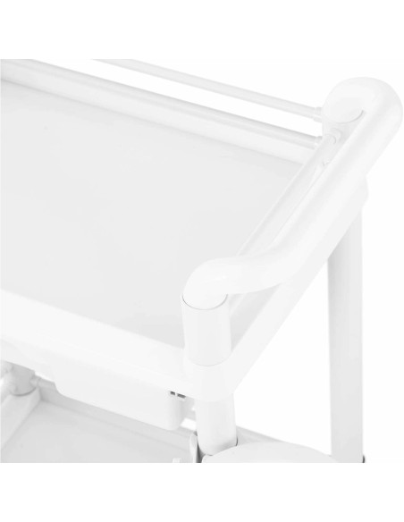 Kosmetikos laboratorinis vežimėlis 2 lentynos 1 stalčius 3 konteineriai 61 x 57 x 91 cm 20 kg Kosmetikos laboratorinis vežimėlis 2 lentynos 1 stalčius 3 konteineriai 61 x 57 x 91 cm 20 kg