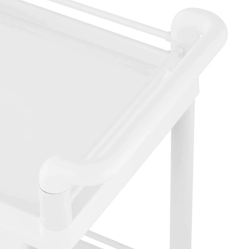 Kosmetikos laboratorinis vežimėlis 2 lentynos 2 stalčiai 3 konteineriai 71 x 45 x 90 cm 20 kg