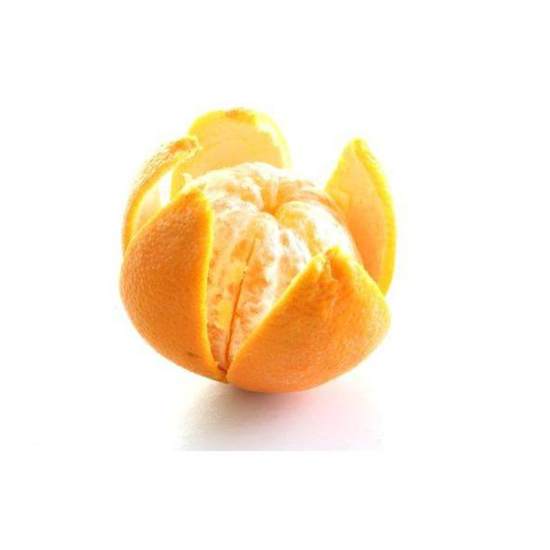 Nerūdijančio plieno citrusinių vaisių lupimo peilis - Hendi 856055