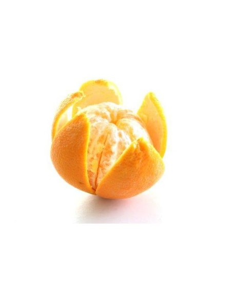 Nerūdijančio plieno citrusinių vaisių lupimo peilis - Hendi 856055 Nerūdijančio plieno citrusinių vaisių lupimo peilis - Hendi 856055