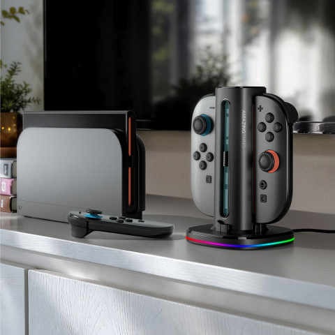 
Nintendo Switch 2 valdiklio įkrovimo stotelė - juoda
