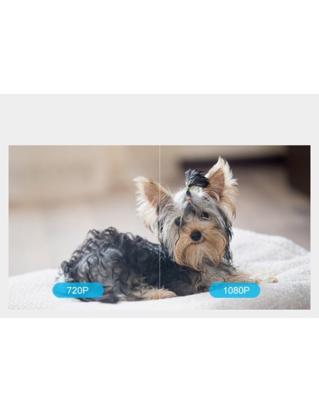 IP kamera WiFi bevielis besisukantis interneto stebėjimas Full HD 1080P baltas GK-200MP2-B IP kamera WiFi bevielis besisukantis interneto stebėjimas Full HD 1080P baltas GK-200MP2-B
