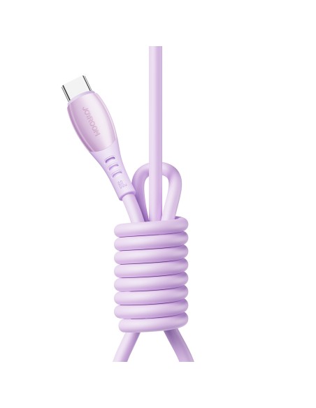 
„Vibrant Series“ 60 W USB-C laidas, 1,2 m – violetinis
